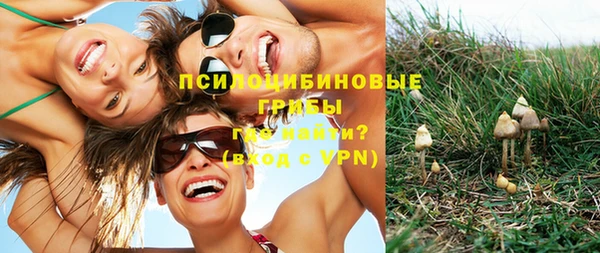 винт Алзамай