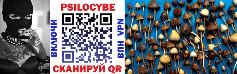 Псилоцибиновые грибы Psilocybine cubensis  Задонск 